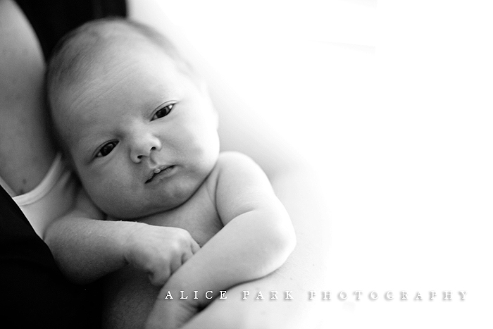 Photography Tip: Family Generation Portrait » Alice Park Photography