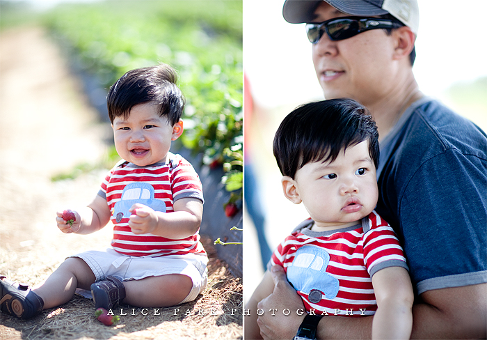 Photography Tip: Family Generation Portrait » Alice Park Photography